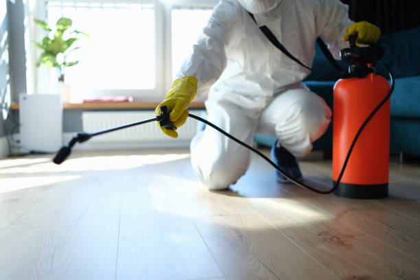 Reliable Odor Removal contractor in Woodbine, MD by Trauma Clean Pros